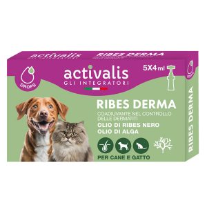 Ribes derma drops 5x4ml